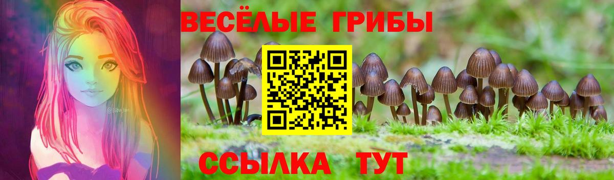 Псилоцибиновые грибы Magic Shrooms  Вход с VPN  Новосибирск  Псилоцибиновые грибы MAGIC MUSHROOMS 